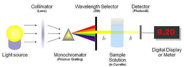 典型分光光度计示意图