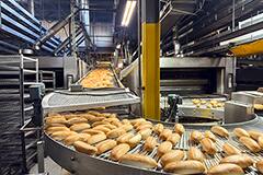 Image of Savoring Success: Efficient Motion for OEMs in Food and Beverage