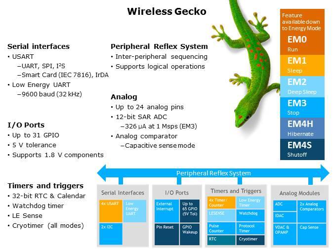 wireless-gecko-slide8