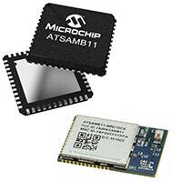 Microchip 的 ATSAMB11 低功耗蓝牙® (BLE) 4.1 系列图片
