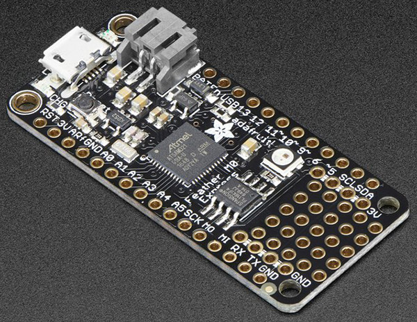 CircuitPython board