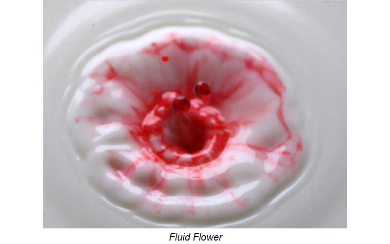 Fluid flower