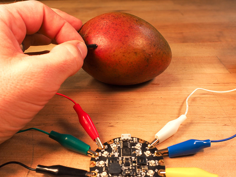 plug the lead pins into each piece of fruit