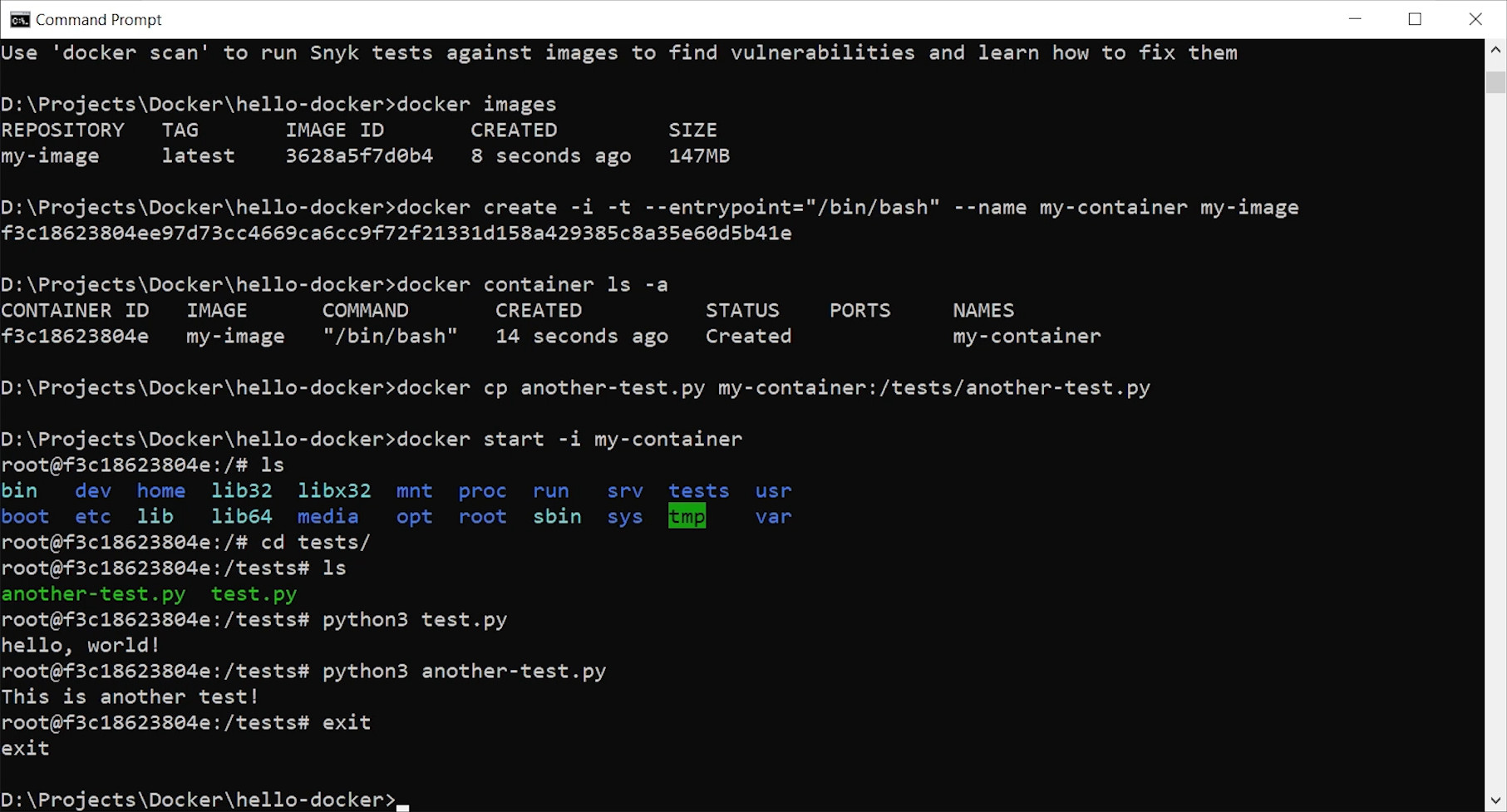 Interacting with a Docker container via command line