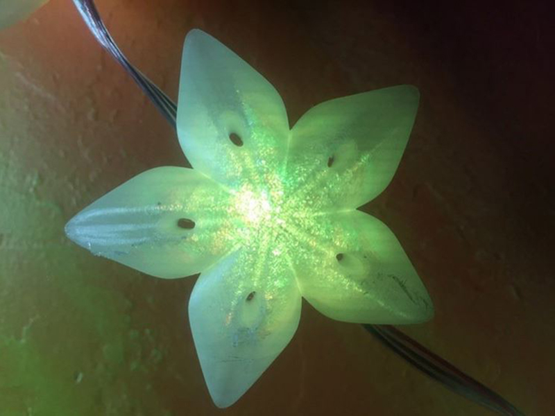 Star Flower Light