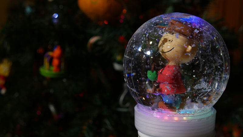 After that dries, you have a custom DIY snow globe!