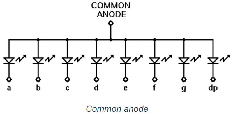 internal structure of the common anode display