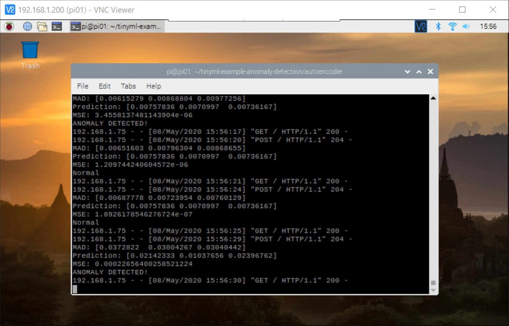 Raspberry Pi console output of TFLite model