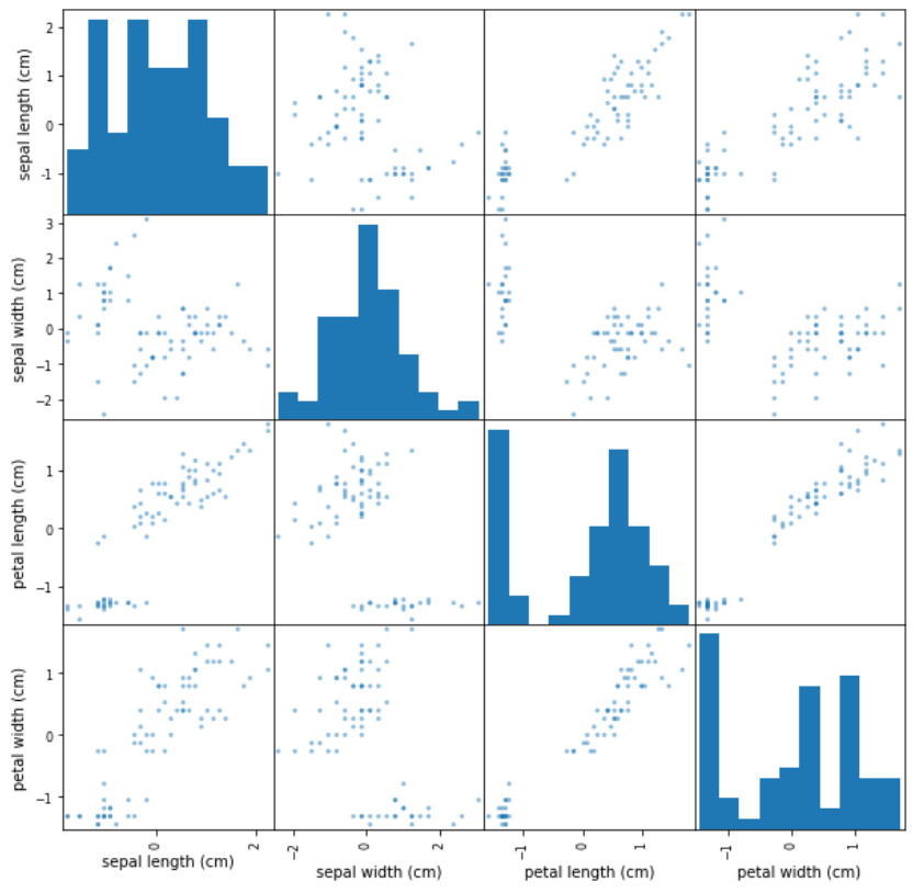 xy scatter plot of features