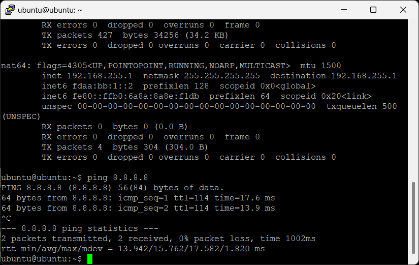 Successful pings to Google DNS server