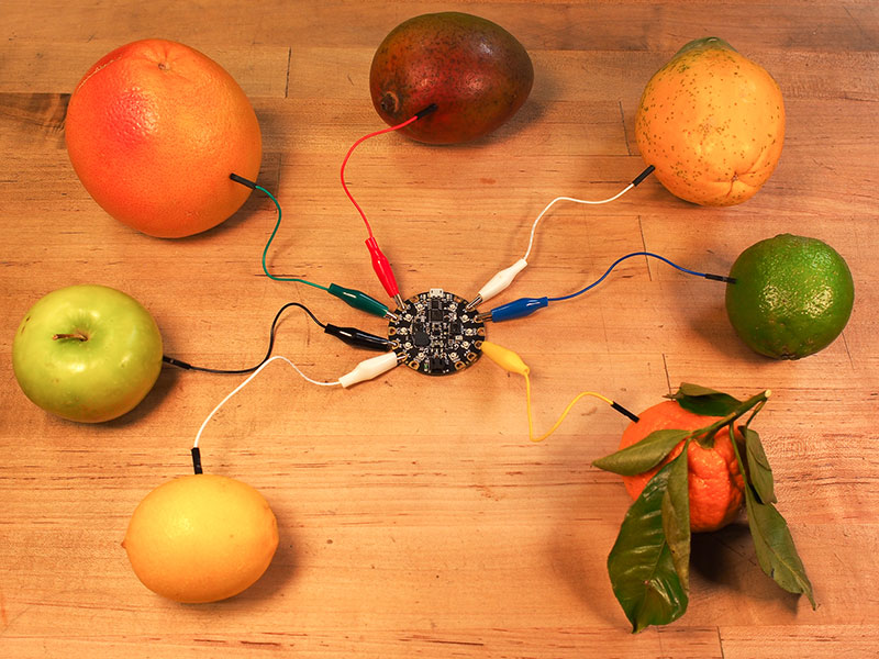 plug the lead pins into each piece of fruit