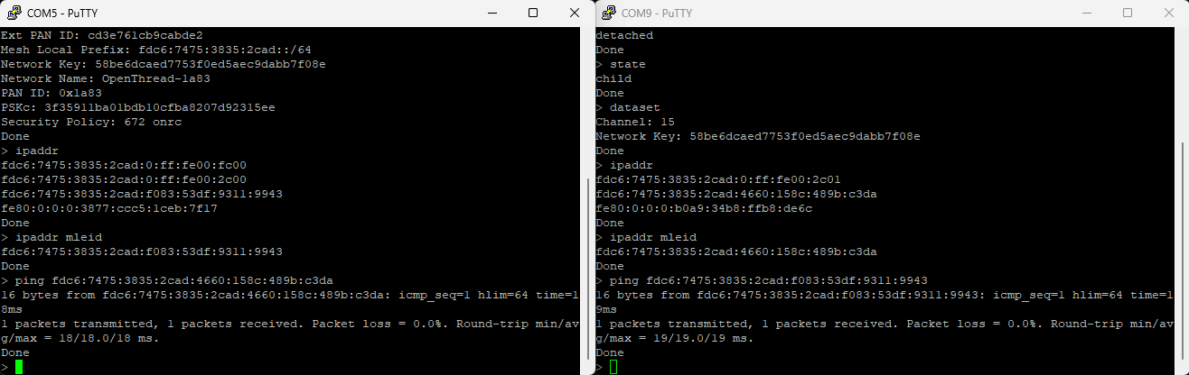 Ping OpenThread FTD and MTD using the CLI