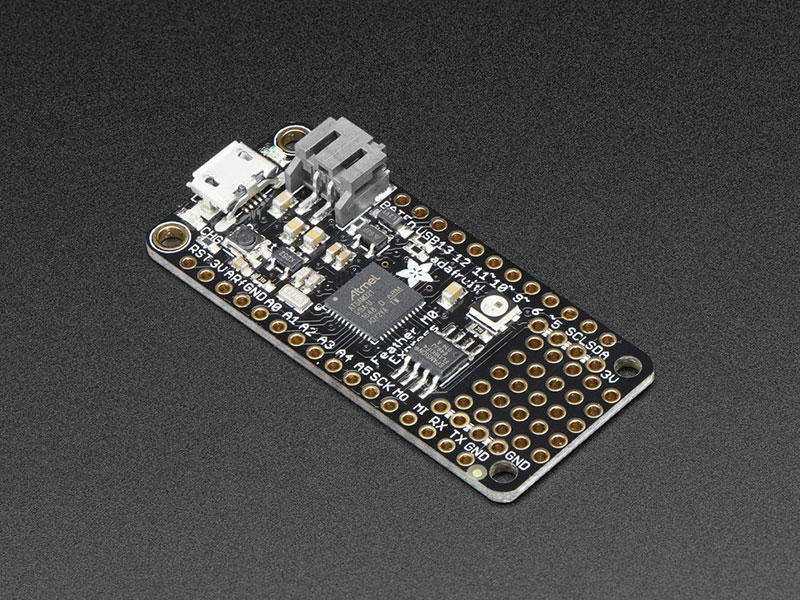 CircuitPython board