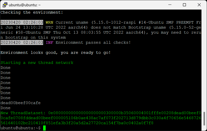 Initializing Thread network on Raspberry Pi