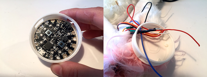 Place the Circuit Playground inside the case 